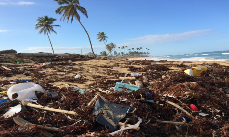 beach clean ups - climate change earth day