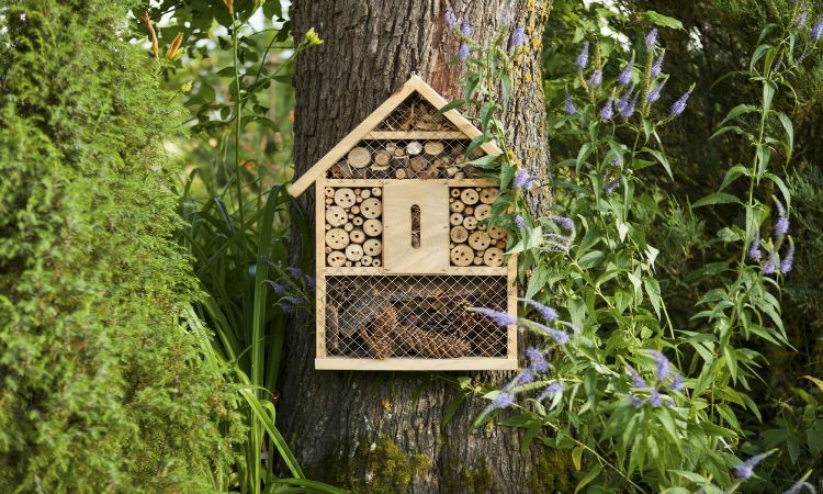help the bees - climate change earth day