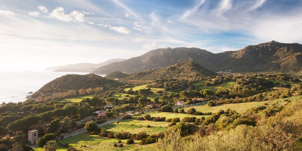 Dorset travel guide