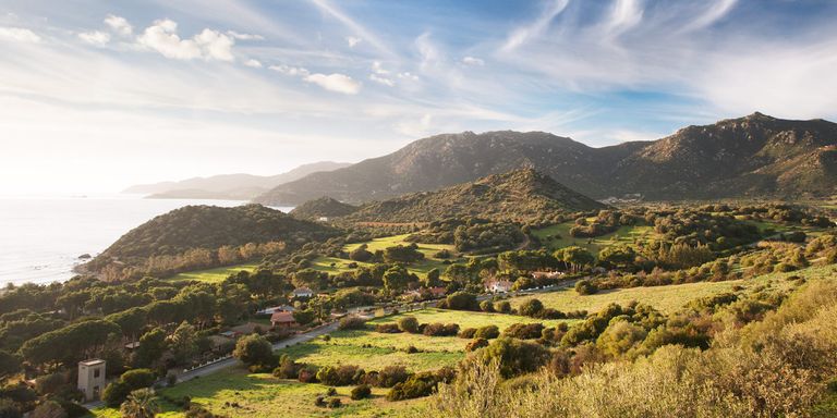 Dorset Travel Guide