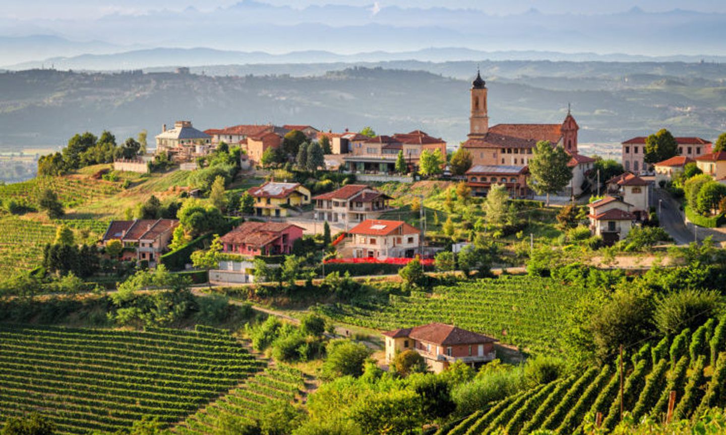 Views of the Treiso (Le Langhe) region in Piedmont