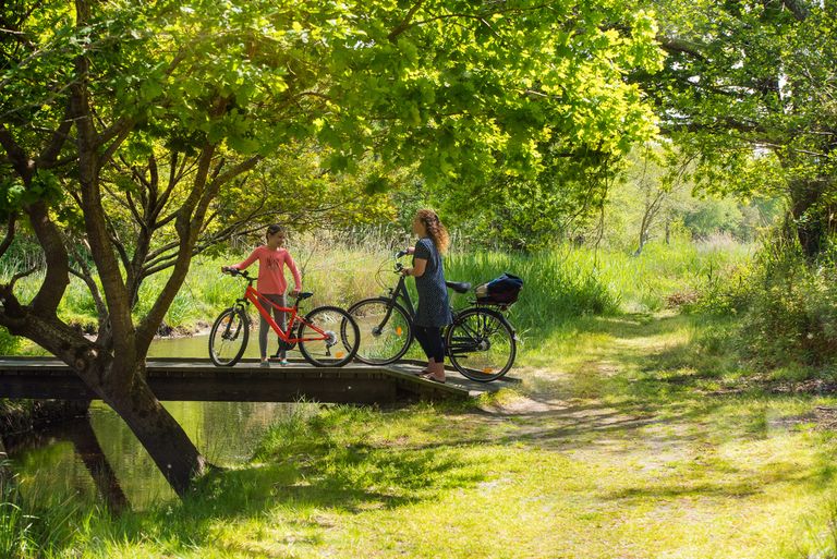 Best Things To Do With Kids In Aquitaine