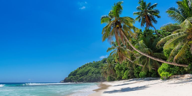 Jamaica Travel Guide