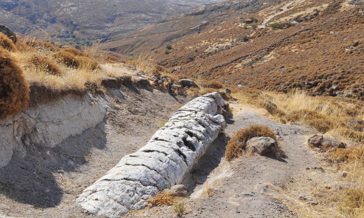 Petrified Forest