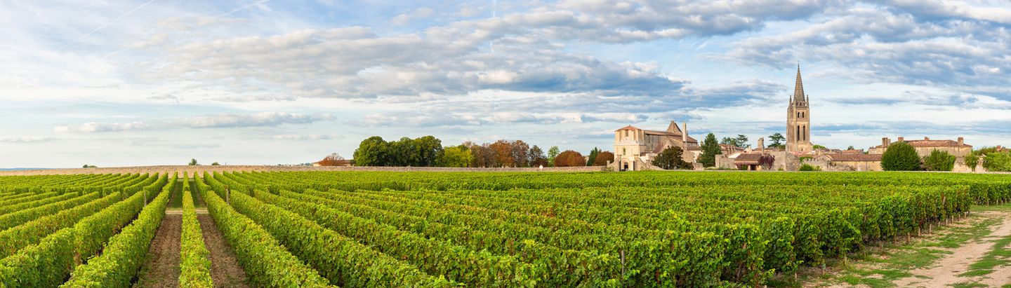 Panoramic View Of Vineyards Of Saint Emilion, Bordeaux, Gironde, France. Medieval Church In Old Town And Rows Of Vine On A Grape Field. Wine Industry