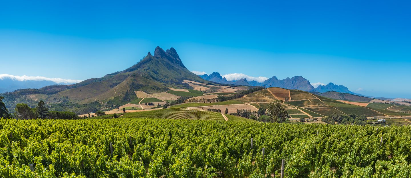 Western Cape