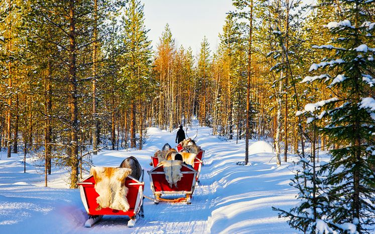 Sleigh - things to do in Lapland
