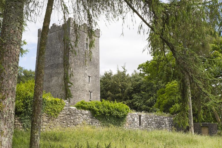 county meath castle in Ireland
