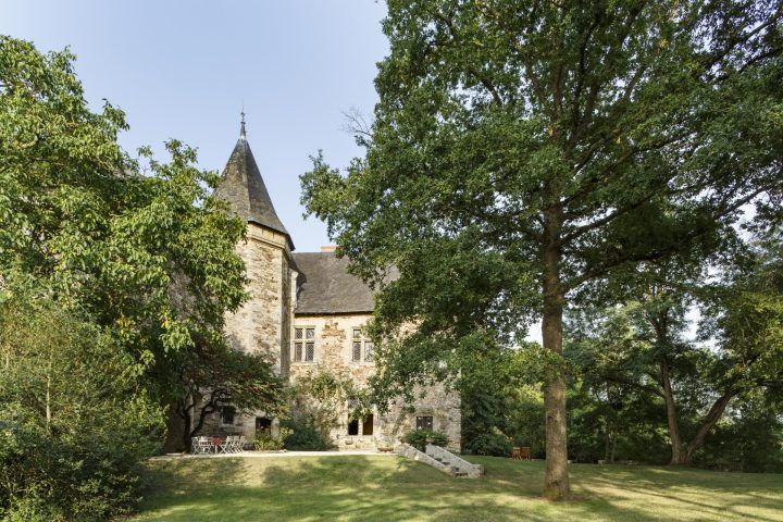 Chateau appearing through trees