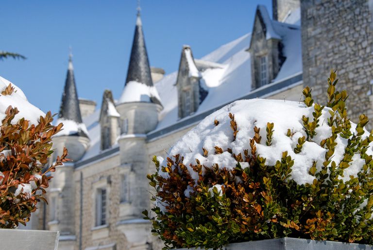 chateau with snow