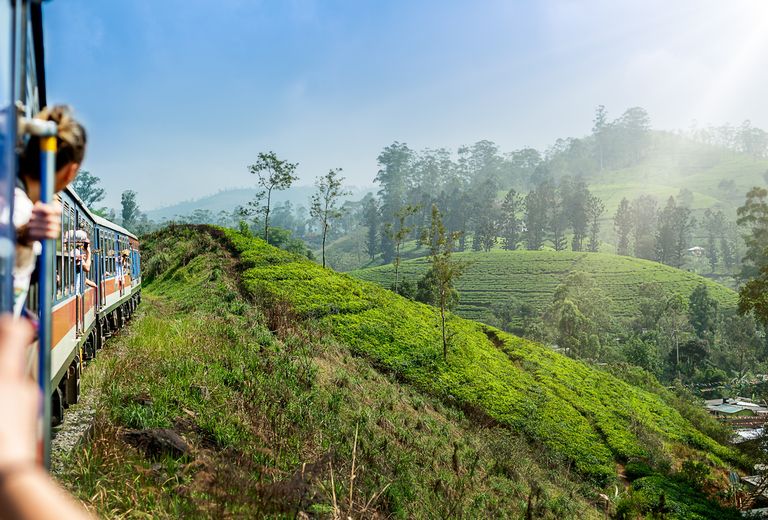 Top 10 Things to Do in Sri Lanka