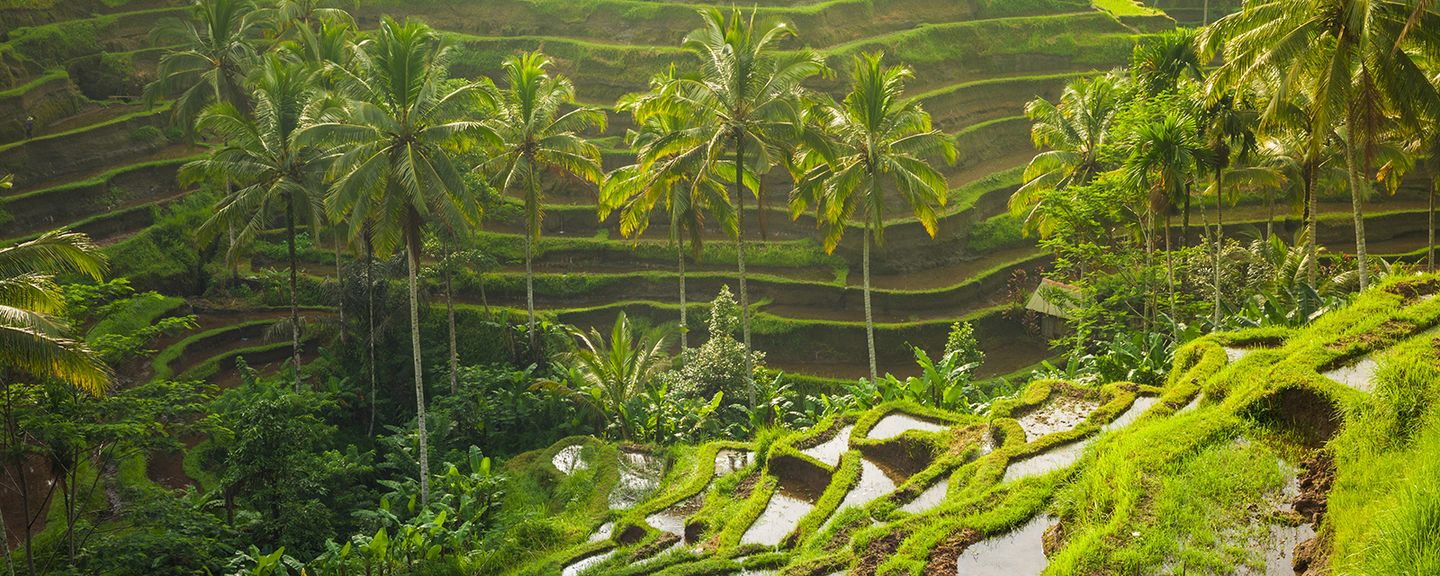 Ubud