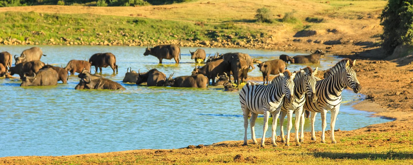 Eastern Cape