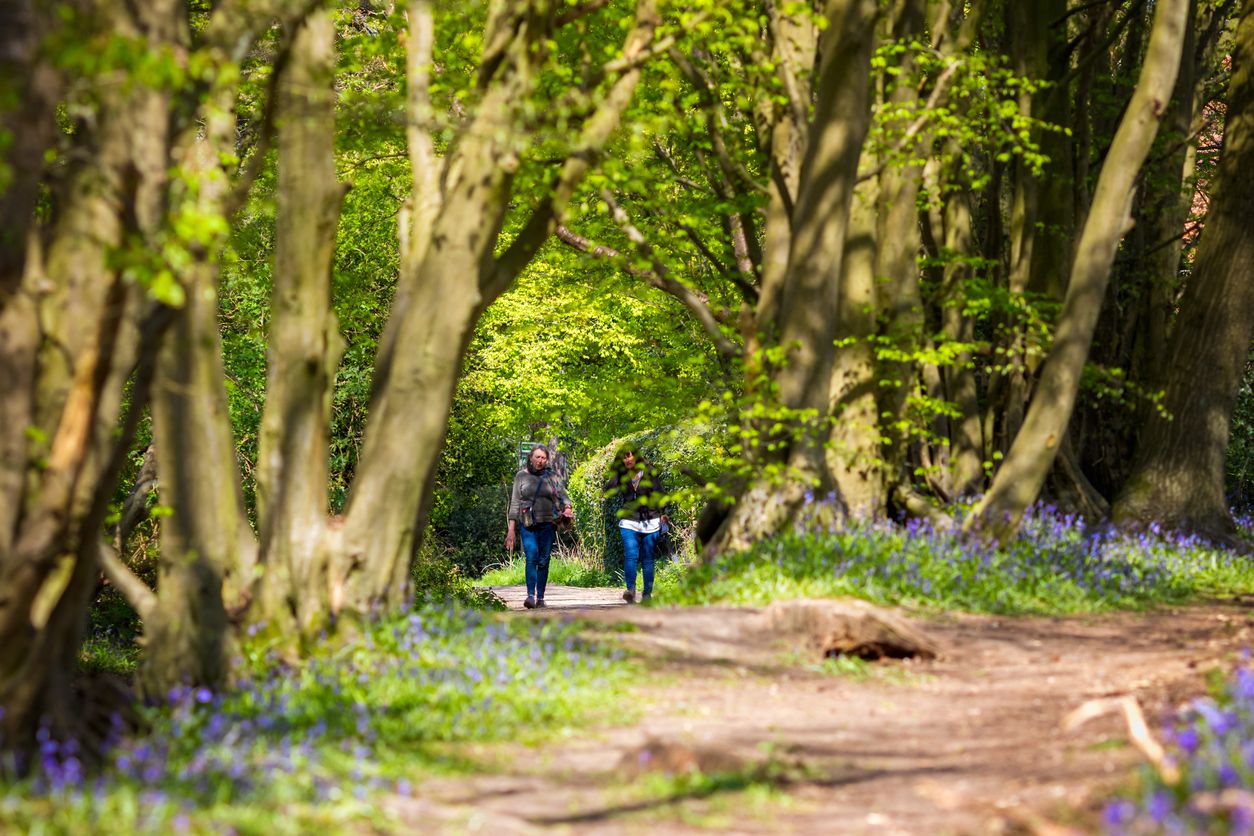 Walking Trails - active holidays