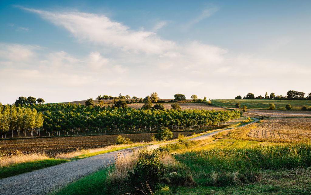 Midi-Pyrénées Travel Guide - header