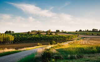 Midi-Pyrénées Travel Guide - header