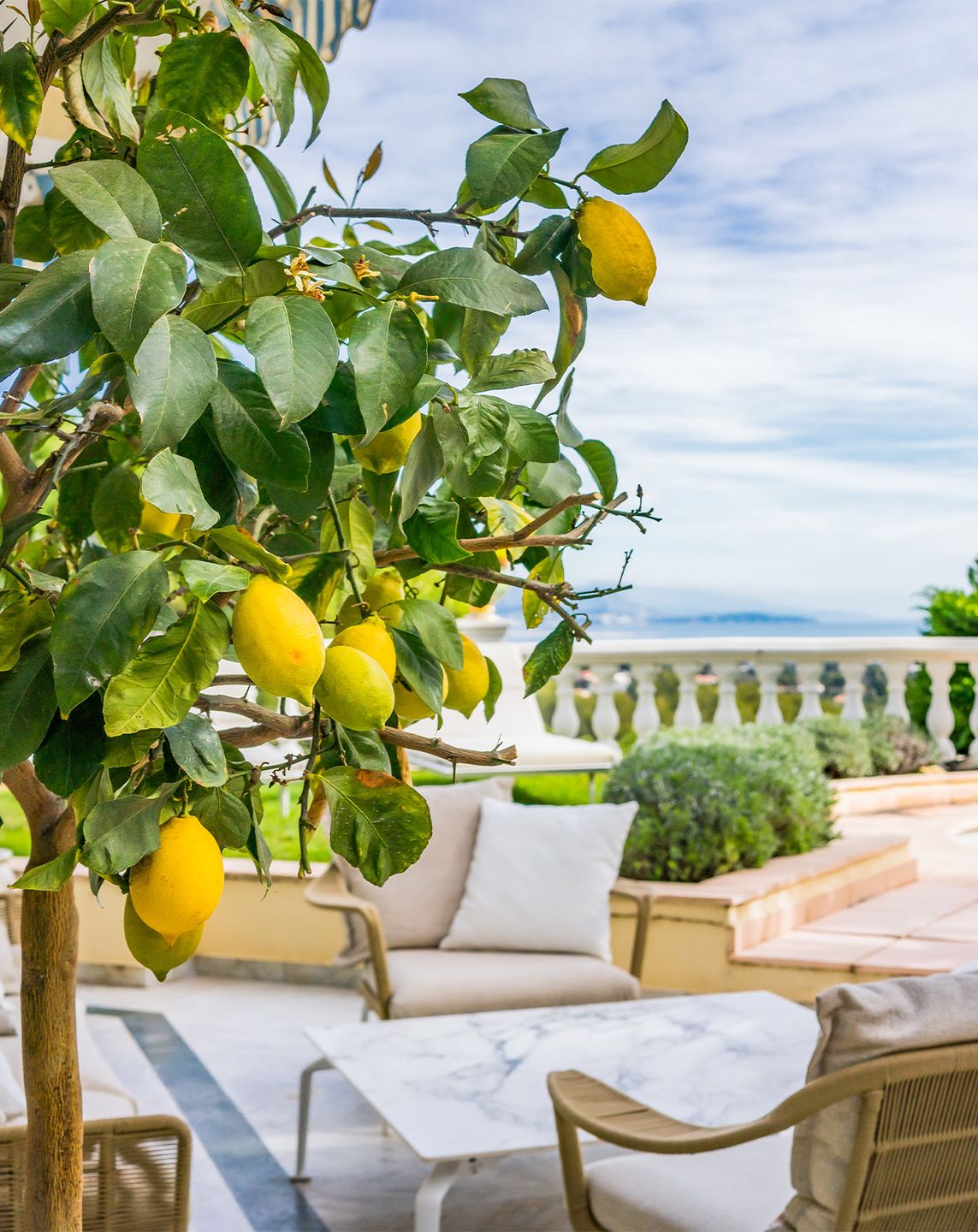 Cannes