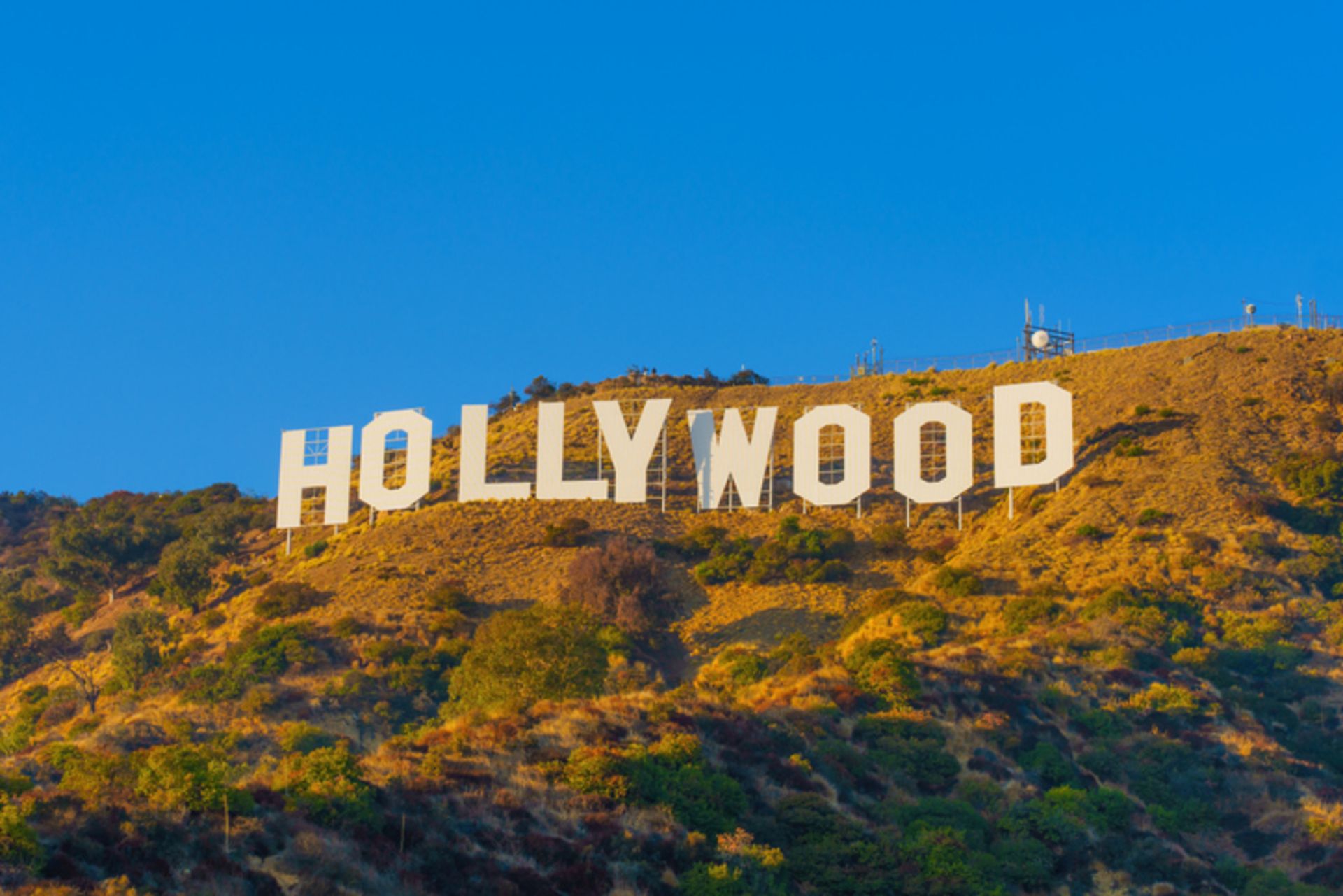 Inside Los Angeles: A Guide to the City's Neighbourhoods